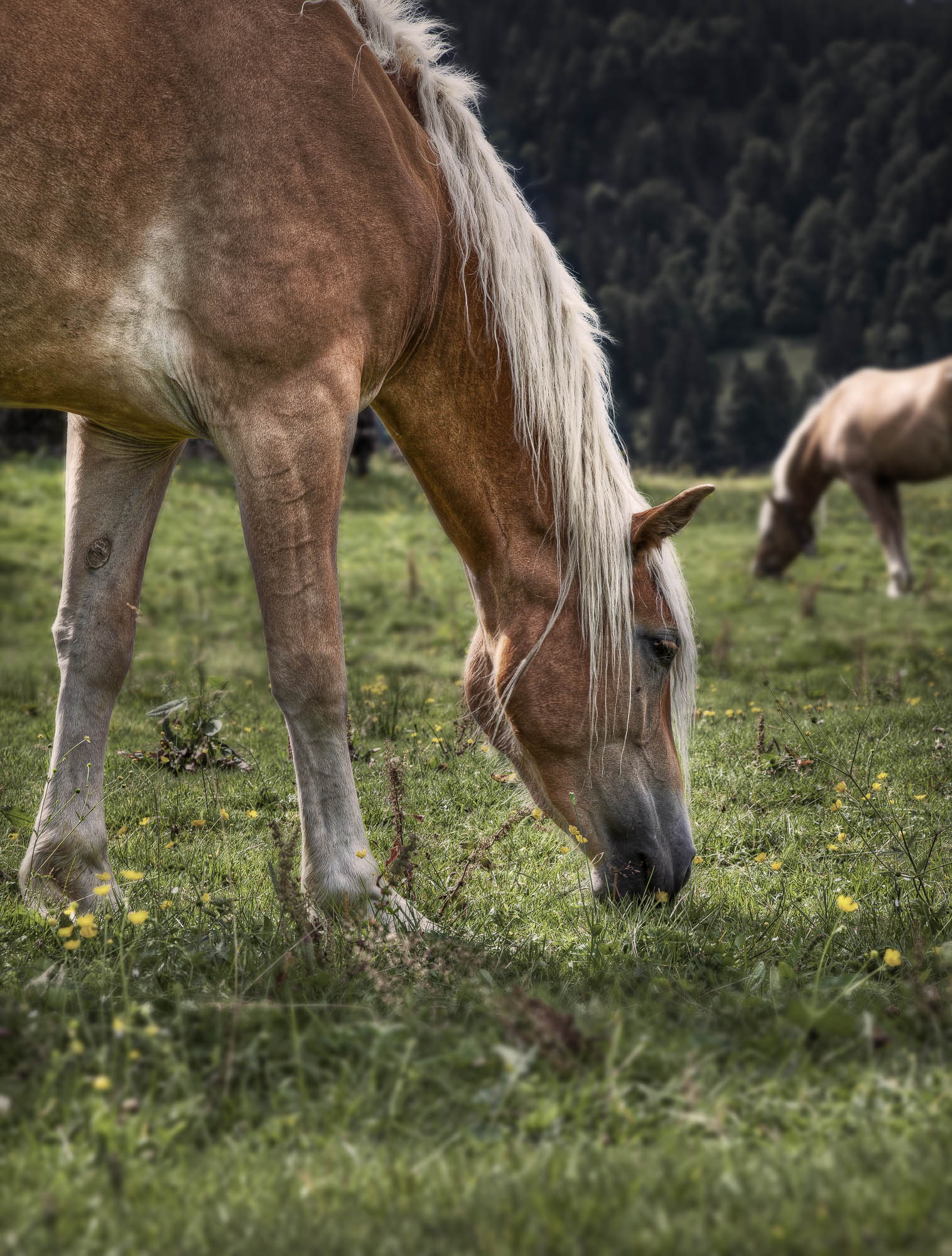 Deutschland / Germany